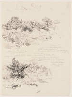 KT 3055
<br/>
Twee landschapstudies met aanwijzingen
<br/>
<em>Nachenius, Jan Coenraad (1890-1987)</em>